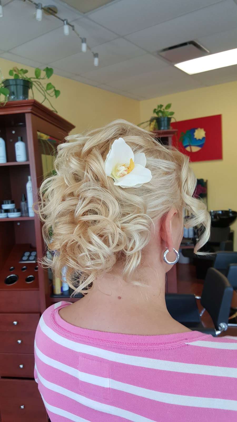 Beauty Island Salon & Spa | 2210 Lake Cook Rd, Algonquin, IL 60102 | Phone: (847) 658-1401