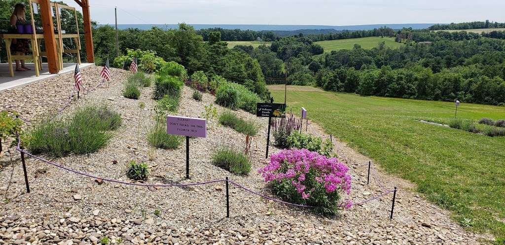 Hope Hill Lavender Farm LLC | 2375 Panther Valley Rd, Pottsville, PA 17901, USA | Phone: (570) 617-0851