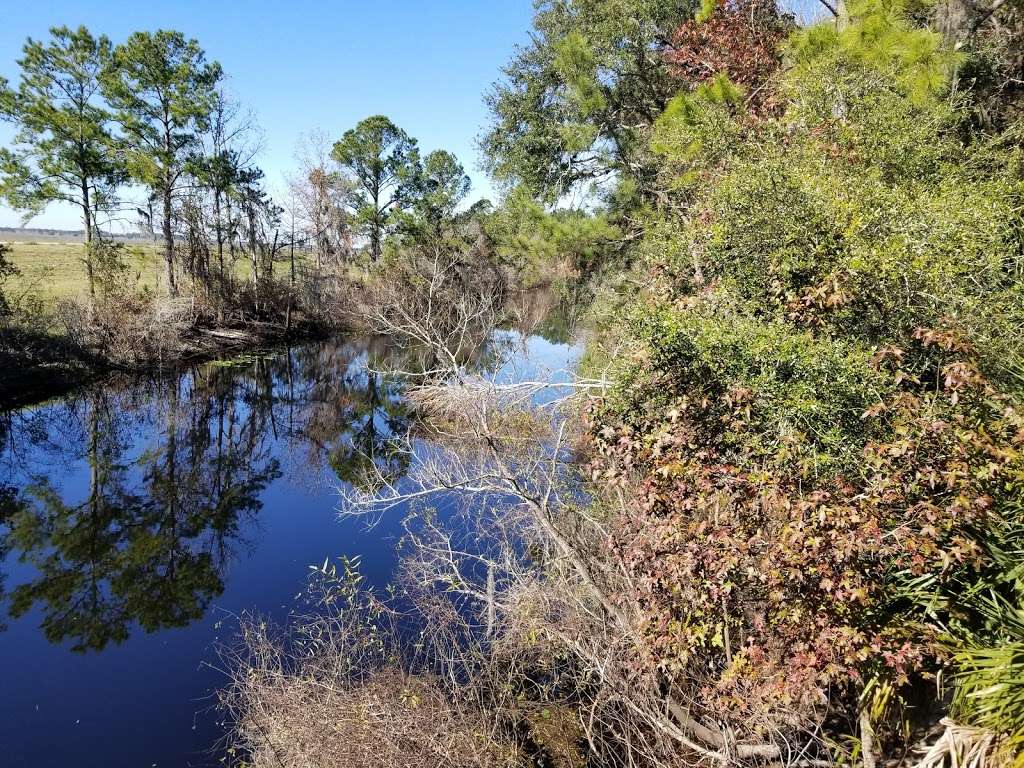 Ocklawaha Prairie Restoration Area Trail Head | SE 137th Avenue Rd, Ocklawaha, FL 32179, USA | Phone: (386) 329-4404