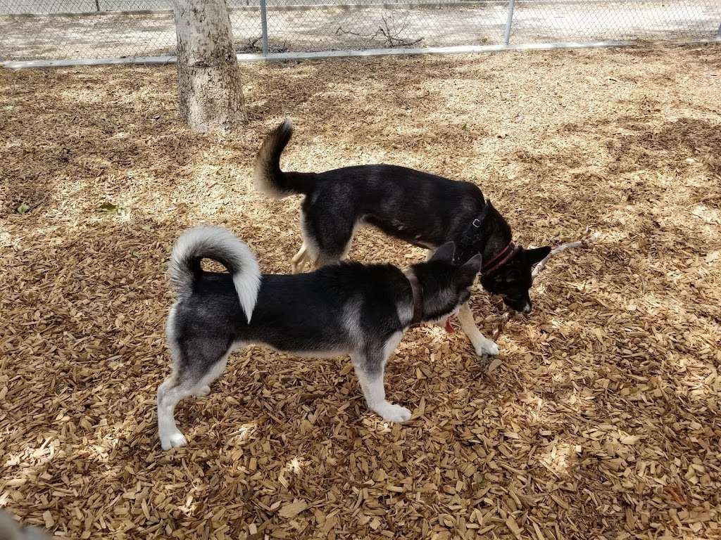 Crescenta Valley Dog Park | Glendale, CA 91214