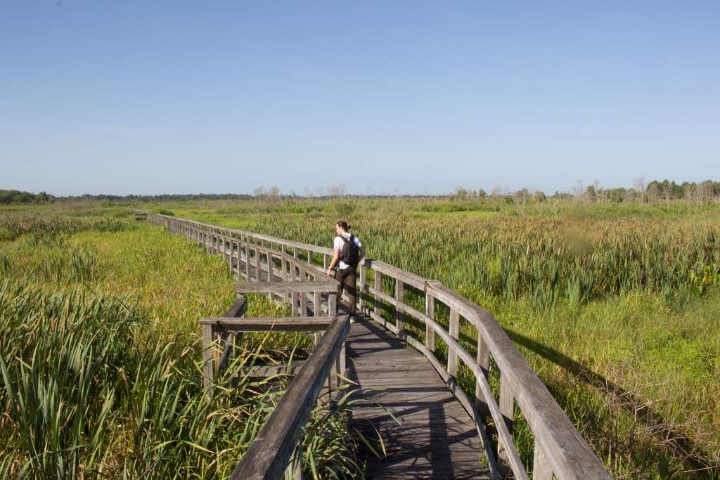 Ocklawaha Prairie Restoration Area | 7910 SE 137th Avenue Rd, Ocklawaha, FL 32179