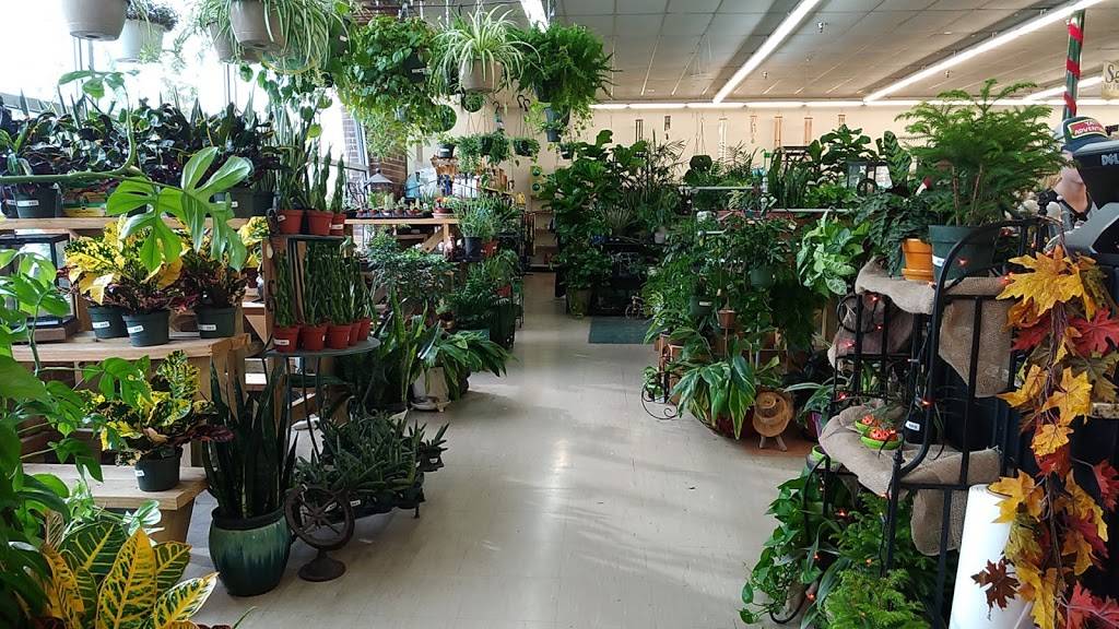 Straders Garden Center | 5500 W Broad St, Columbus, OH 43228, USA | Phone: (614) 853-3676