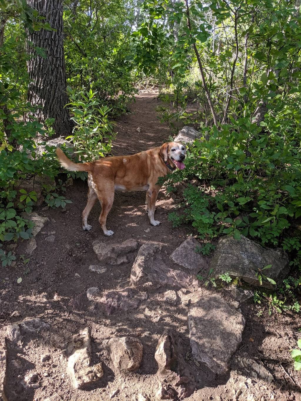 Bear Creek Dog Park | S 21st St, Colorado Springs, CO 80904, USA | Phone: (719) 520-7529