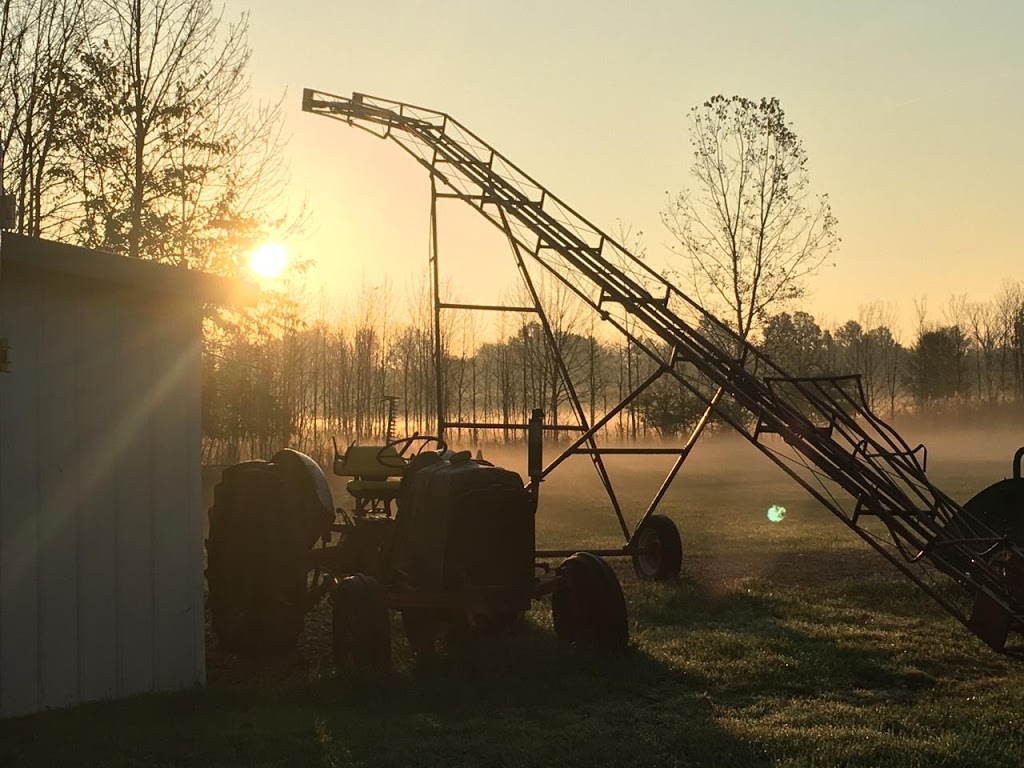 North Crest Equestrian Center | 31735 Walker Rd, Avon Lake, OH 44012 | Phone: (440) 933-4654