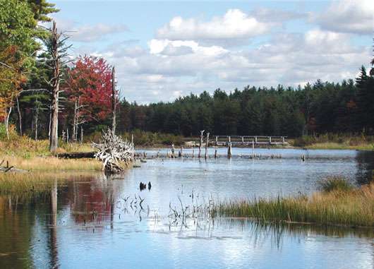 Beaver Brook Association | 117 Ridge Rd, Hollis, NH 03049, USA | Phone: (603) 465-7787