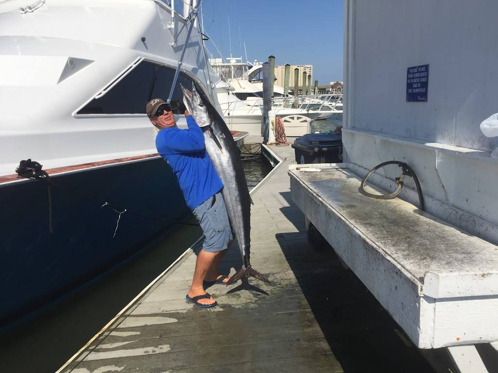 E-FishinSea Sport Fishing Charters Virginia Beach | 527 Winston Salem Ave, Virginia Beach, VA 23451 | Phone: (757) 985-6255