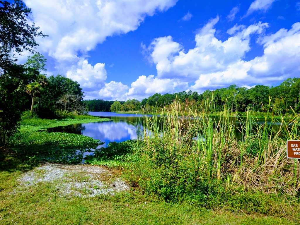 Tosohatchee Wildlife Management Area | 3365 Taylor Creek Rd, Christmas, FL 32709, USA | Phone: (352) 732-1225