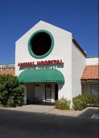 All Creatures Animal Clinic | 4022 E Greenway Rd Suite 7, Phoenix, AZ 85032, USA | Phone: (602) 493-5090