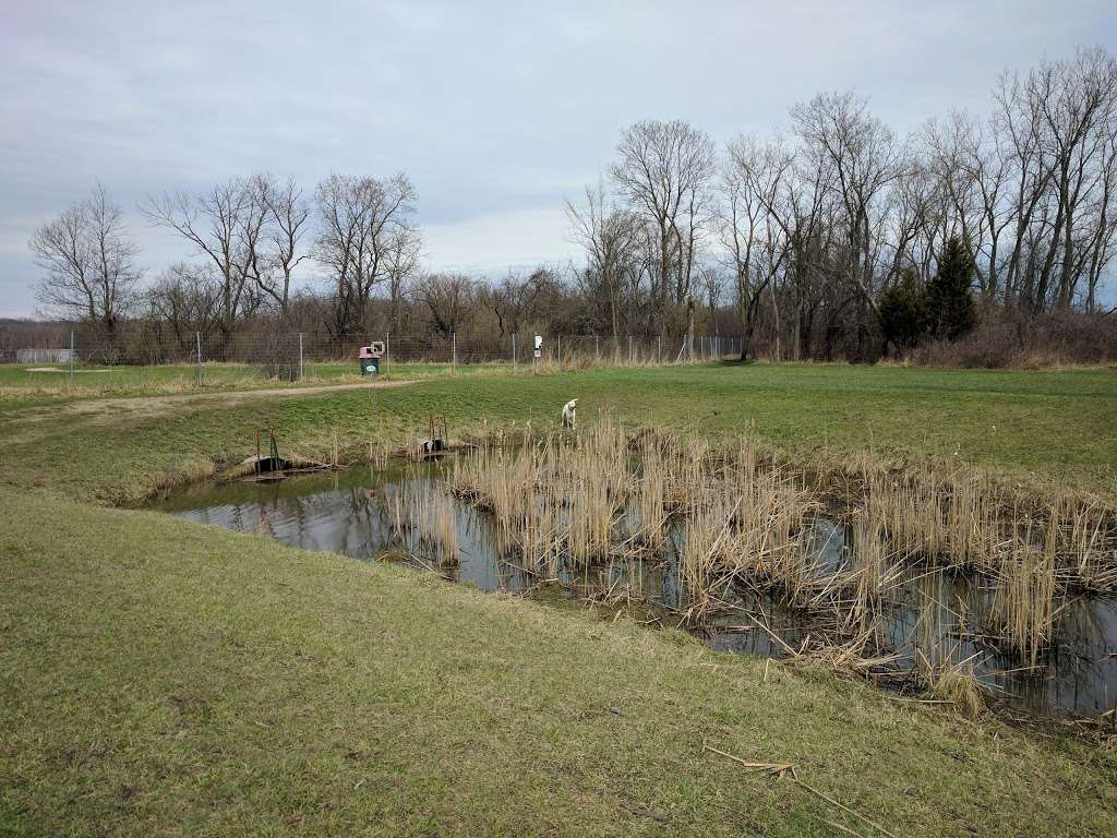 Beck Lake Off-Leash Dog Area | 9700 Gloria Ct, Glenview, IL 60025, USA | Phone: (800) 870-3666