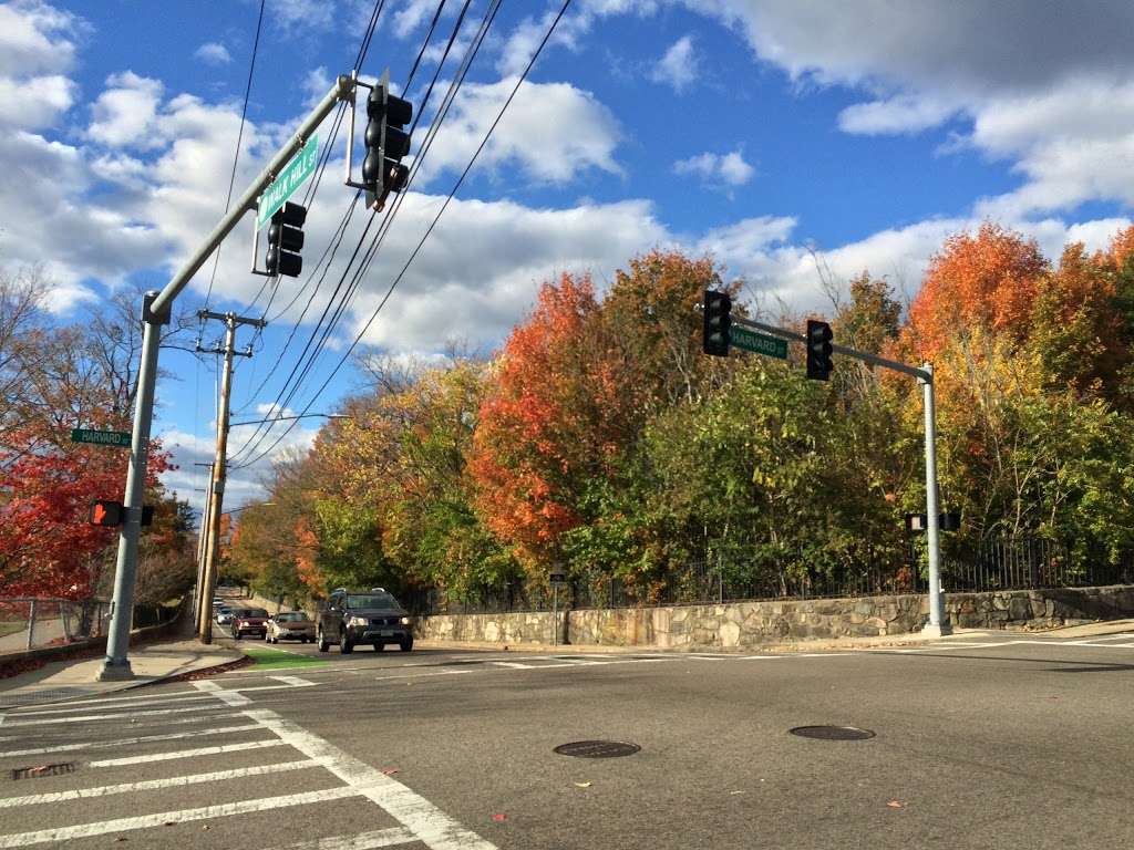 Mt. Hope Cemetery | 355 Walk Hill St, Boston, MA 02131, USA | Phone: (617) 635-7361