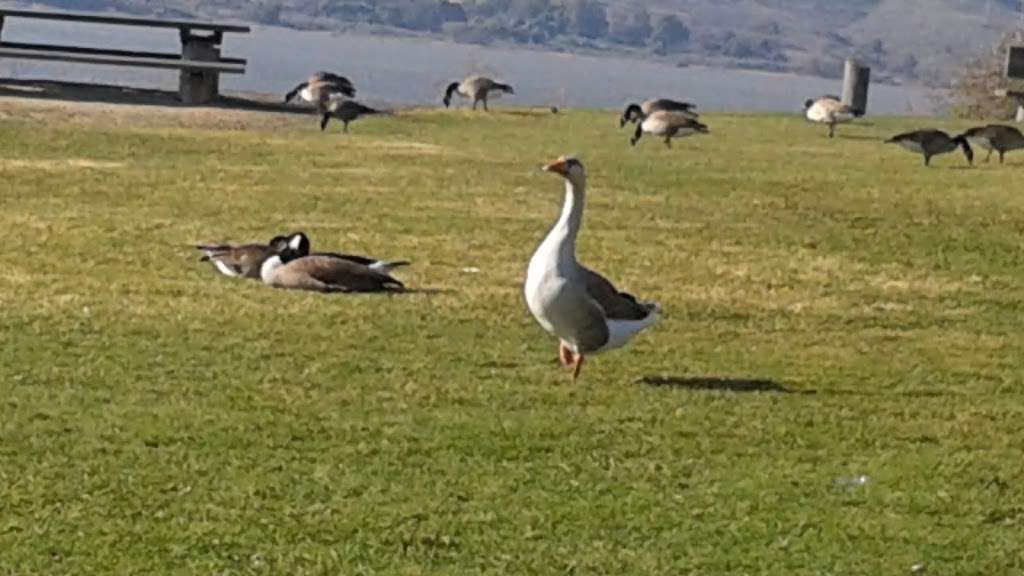 Twelfth Street Park | Benicia, CA 94510, USA