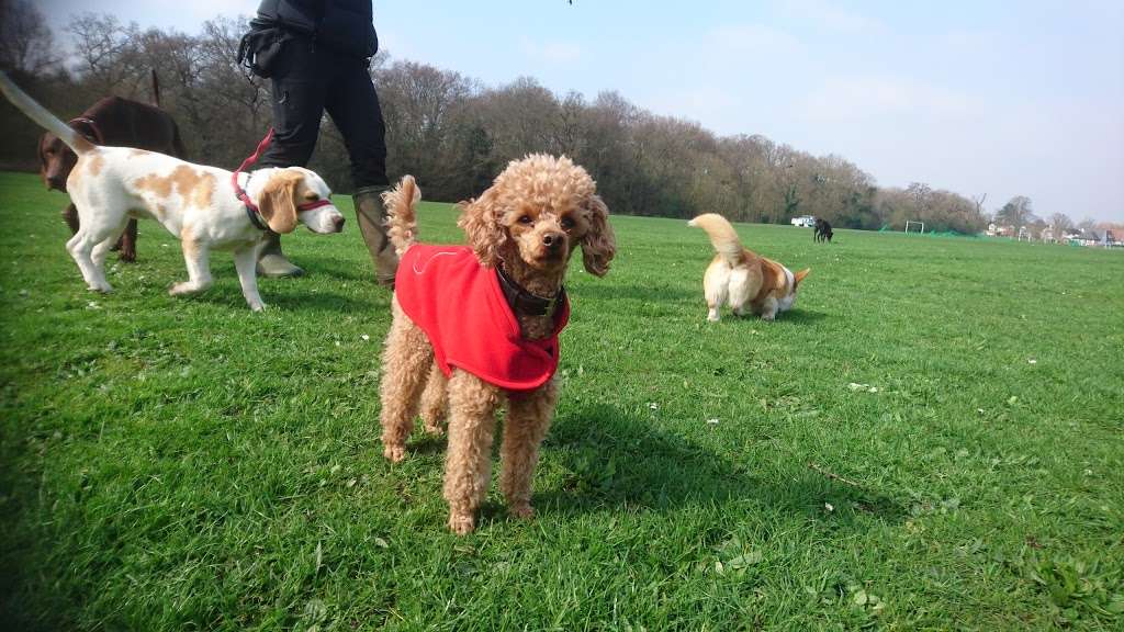 Palewell Playing Fields | Palewell Common Dr, London SW14 8RE, UK