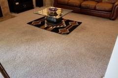 Horton Carpet Cleaning | 12424 S 37th Ct, Phoenix, AZ 85044, United States | Phone: (602) 300-5986