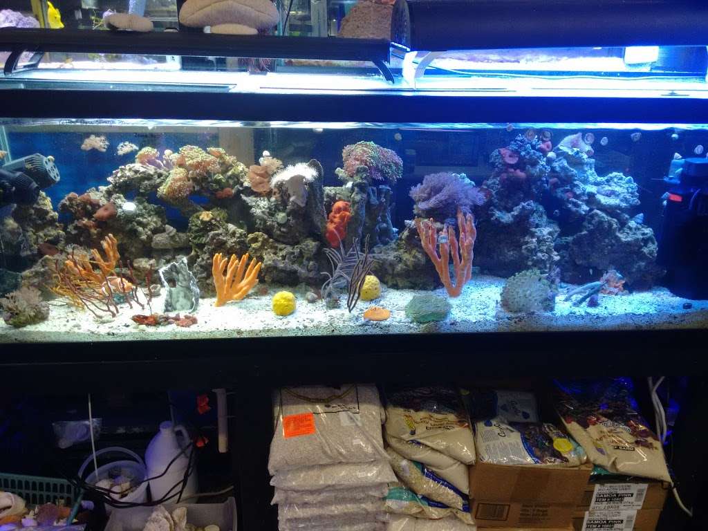 Sea Life Aquarium Services | 174 Semoran Commerce Pl A101, Apopka, FL 32703 | Phone: (407) 889-9887