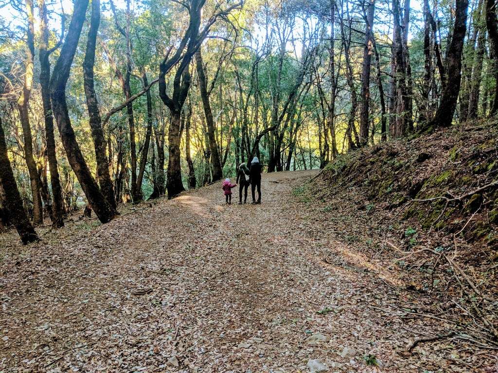 Hickory Oaks Trail | Los Gatos, CA 95033, USA