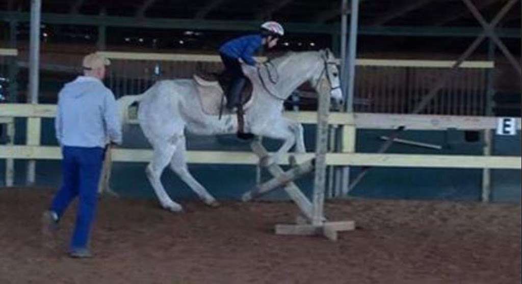 ALBE FARM, Horse Riding LESSONS, Stalls for Boarding since 1993 | 9611 Gaines Rd, Sugar Land, TX 77498, USA | Phone: (281) 561-0607