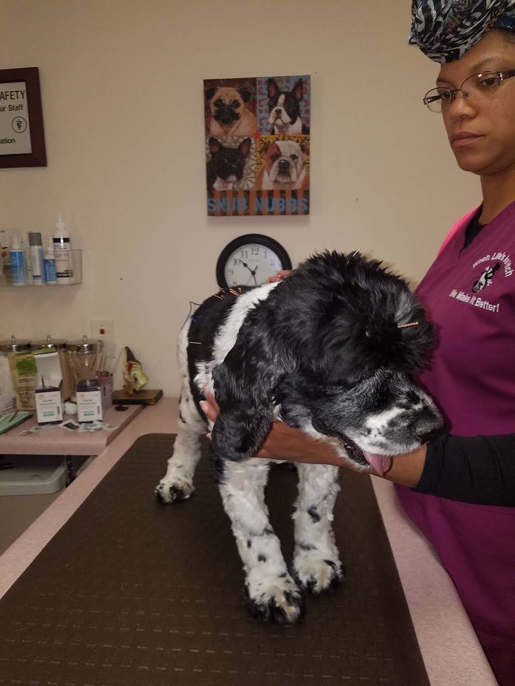 Atlanta Veterinary Skin & Allergy Clinic, PC | 2803 Shallowford Rd, Atlanta, GA 30341, USA | Phone: (770) 936-8922