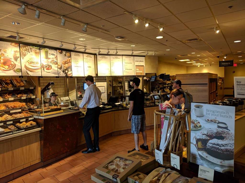 Panera Bread | 267 E Swedesford Rd, Wayne, PA 19087 | Phone: (610) 688-4978