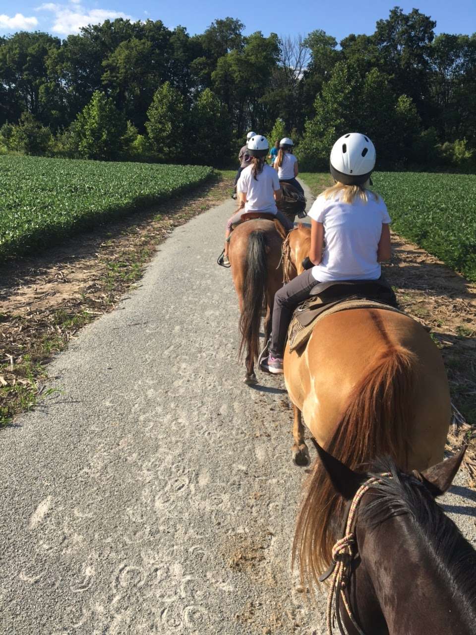 K-Trails Equestrian Adventures | 11949 Koteewi Dr, Noblesville, IN 46060, USA | Phone: (317) 770-8835