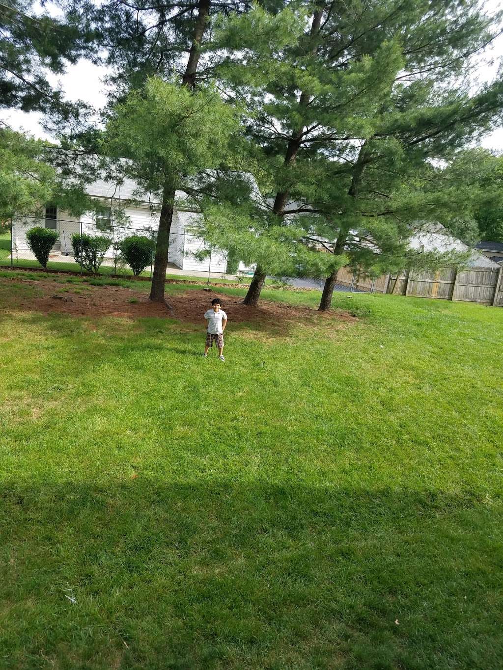 Country Side Animal Clinic | 7503 Prince Cole Ct, Manassas, VA 20111, USA | Phone: (571) 261-8906