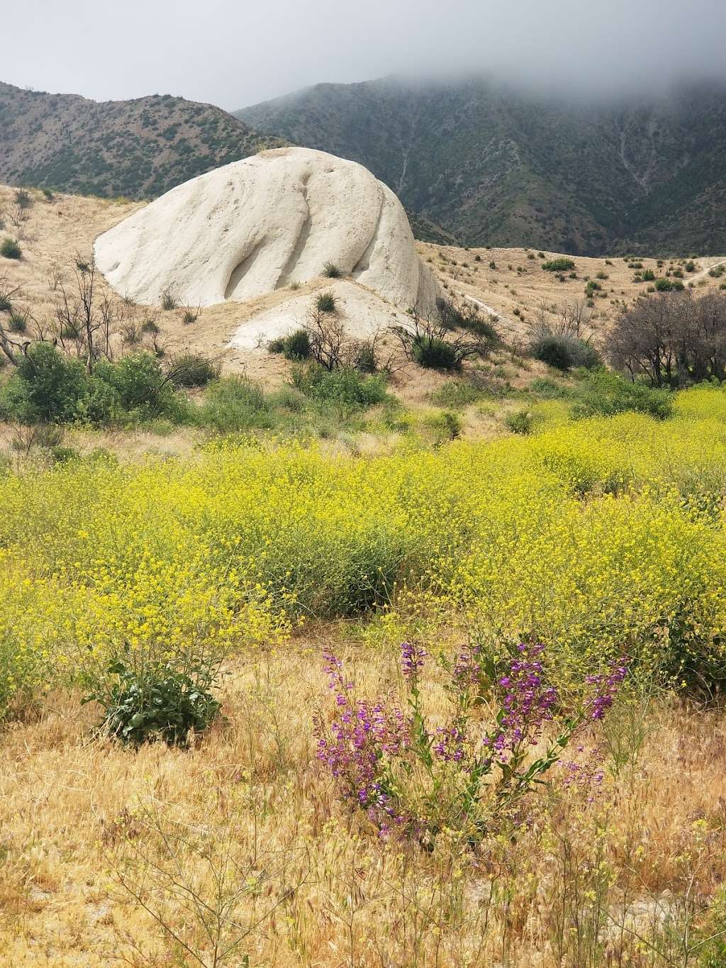 Mormon Rocks Interpretive Trail 6W04 | 7198 Abiel Barron Memorial Hwy, Phelan, CA 92371, USA | Phone: (909) 382-2851