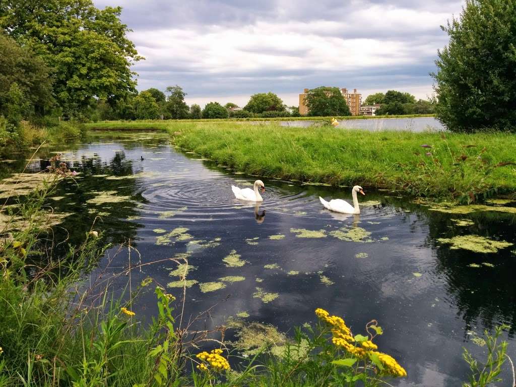 Woodberry Wetlands | Lordship Rd, New River Path, Woodberry Down, London N16 5HQ, UK | Phone: 020 3897 6154