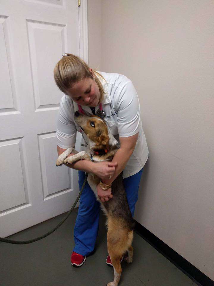 VitalPet - Culebra Creek Veterinary Hospital | 11185 Westwood Loop #100, San Antonio, TX 78253, USA | Phone: (210) 509-8444