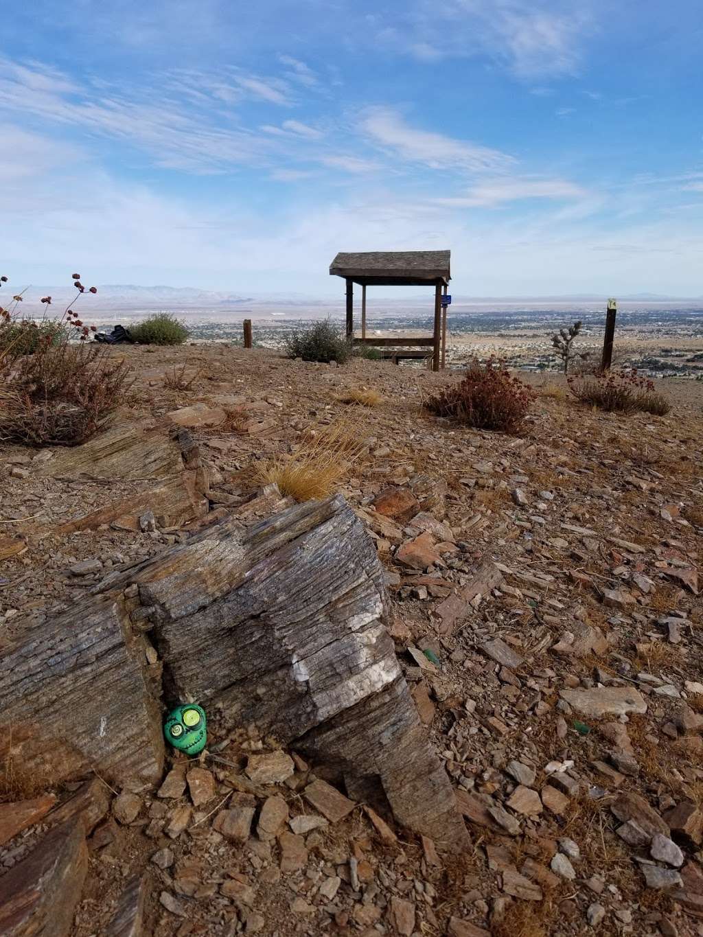 Sgt. Steve Owen Bench | 3001002078, Palmdale, CA 93551