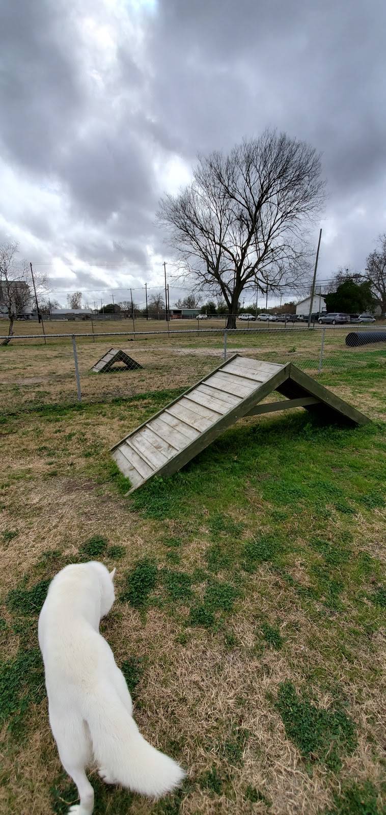 Bay City Dog Park | 1700 Avenue H, Bay City, TX 77414, USA