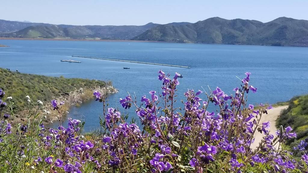 Wildflower Trail | Flower Trail, Hemet, CA 92545, USA