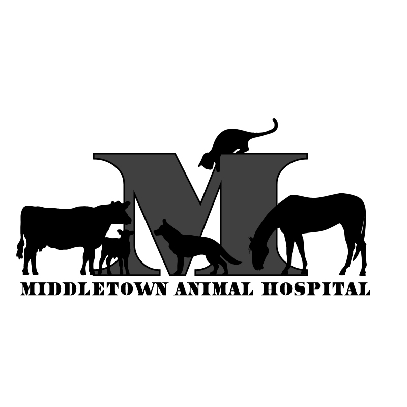 Middletown Animal Hospital | 8652 IN-236, Middletown, IN 47356, USA | Phone: (765) 354-4210