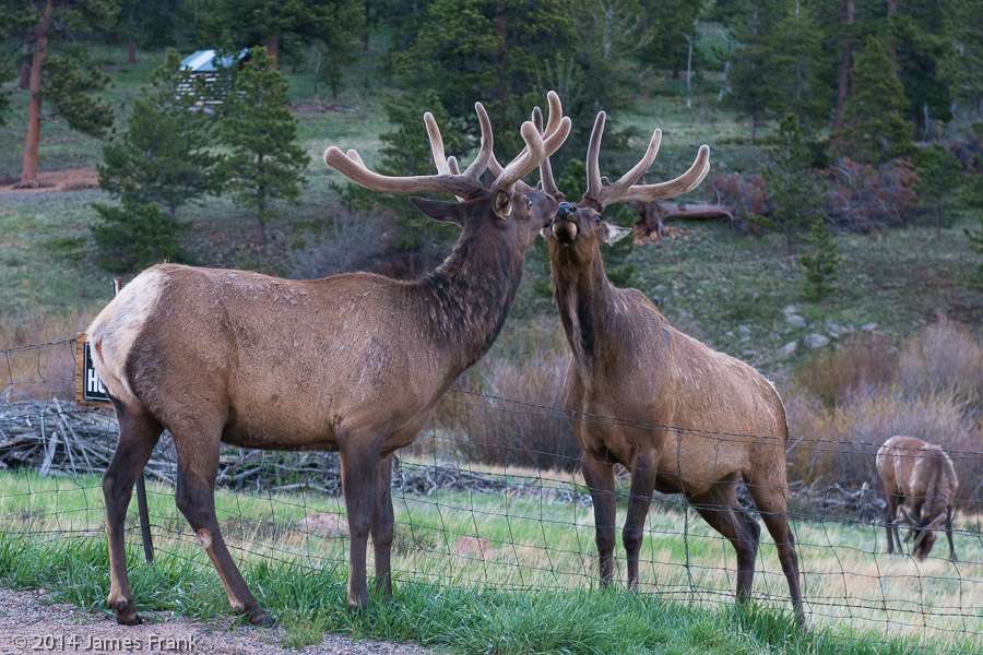 Aspen Brook Vacation Homes | 2340 Aspen Brook Dr, Estes Park, CO 80517, USA | Phone: (970) 586-3748