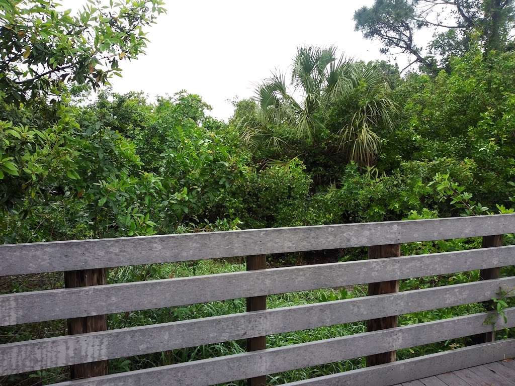 Brevard Zoo Linear Park | Unnamed Road, Melbourne, FL 32940, USA