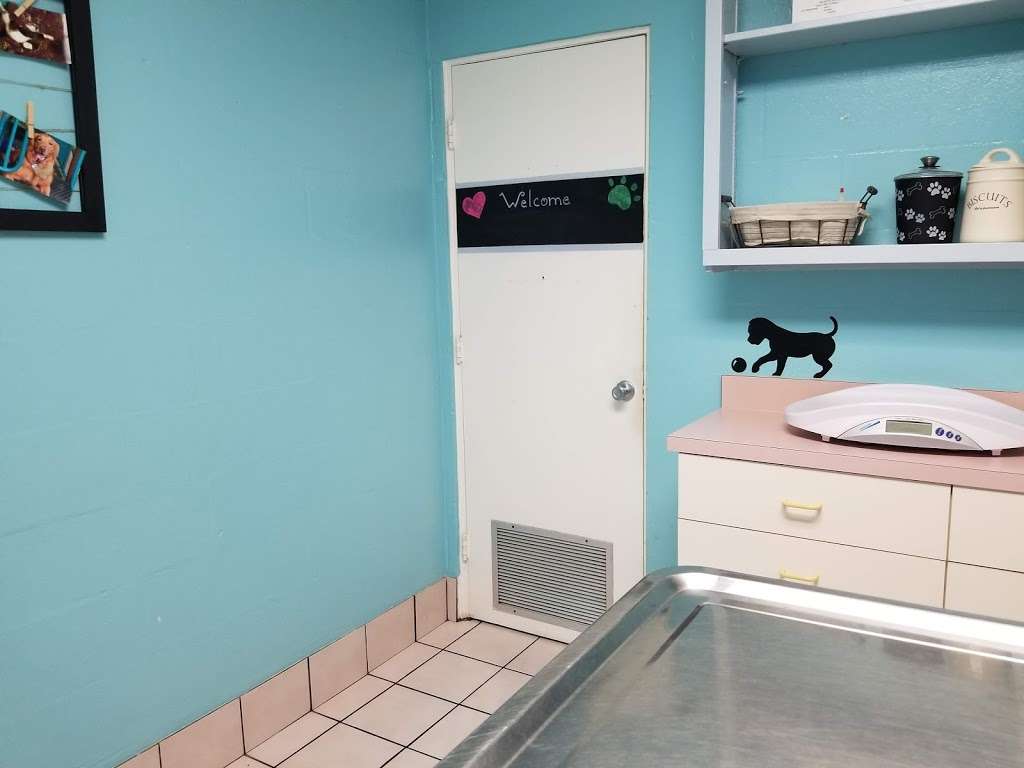 VCA Howell Branch Animal Hospital | 1401 Howell Branch Rd, Winter Park, FL 32789, USA | Phone: (407) 645-0779