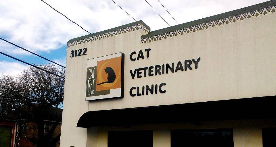 Cat Veterinary Clinic | 3122 White Oak Dr, Houston, TX 77007 | Phone: (713) 523-5171