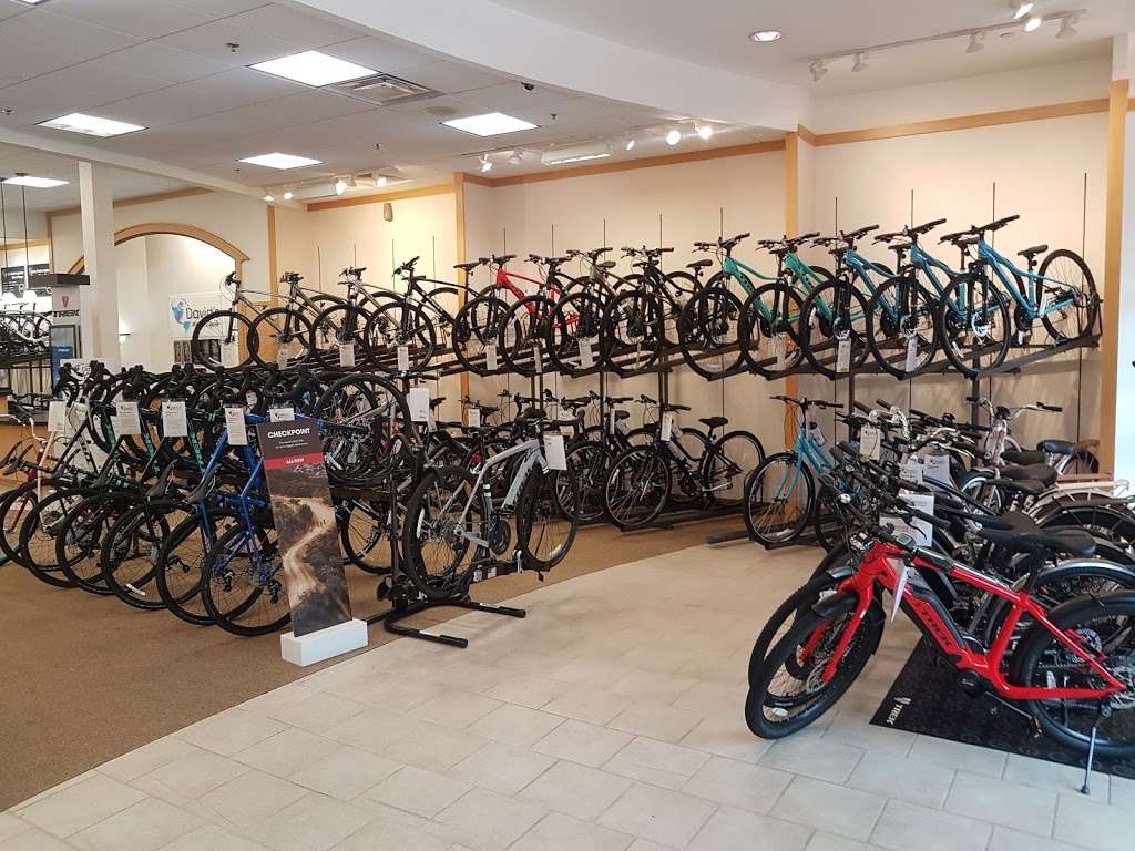 Davids World Cycle | 3279 Daniels Rd, Winter Garden, FL 34787, USA | Phone: (407) 654-7071