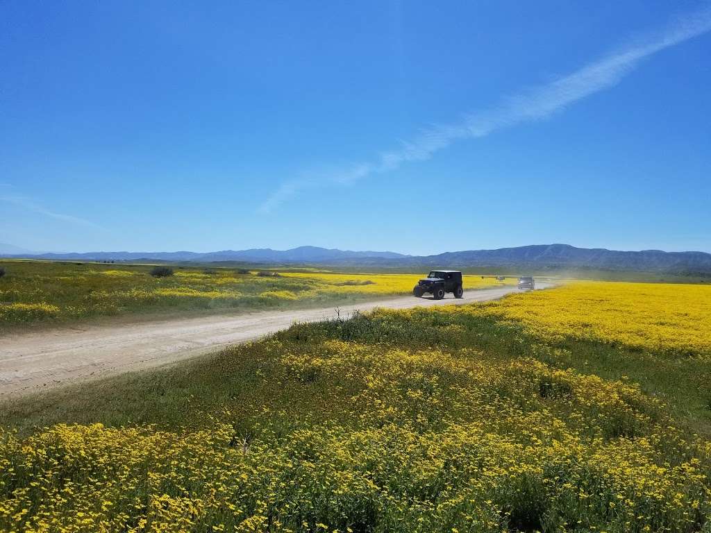 Carrizo Plain National Monument | Soda Lake Rd, Maricopa, CA 93252, USA