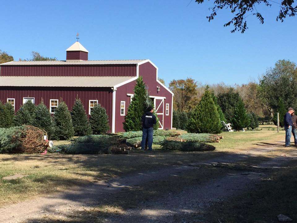 Holiday Acres Christmas Tree Farm | 8919 Mustang Bayou Rd, Manvel, TX 77578, USA | Phone: (281) 317-0586