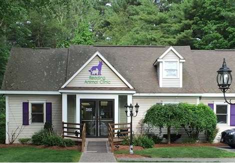 Reading Animal Clinic | 1312 Main St, Reading, MA 01867, USA | Phone: (781) 944-1699