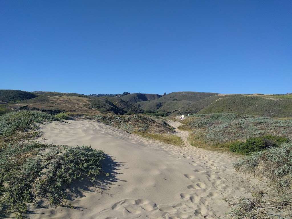 Bonny Doon Beach | North Pacific Ocean, Santa Cruz, CA 95060, USA