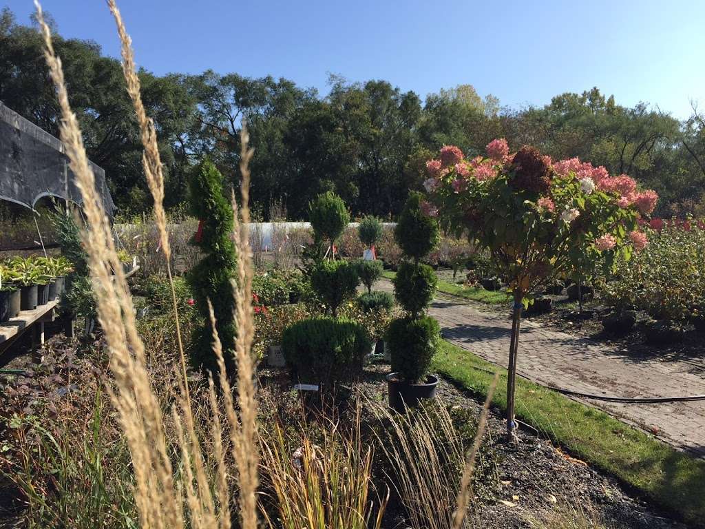 Rolling Hills Nursery | 22149 N Pet Ln, Lincolnshire, IL 60069 | Phone: (847) 634-3200