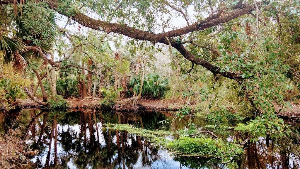 Black Water Camp | Wekiva River Rd, Sorrento, FL 32776, USA