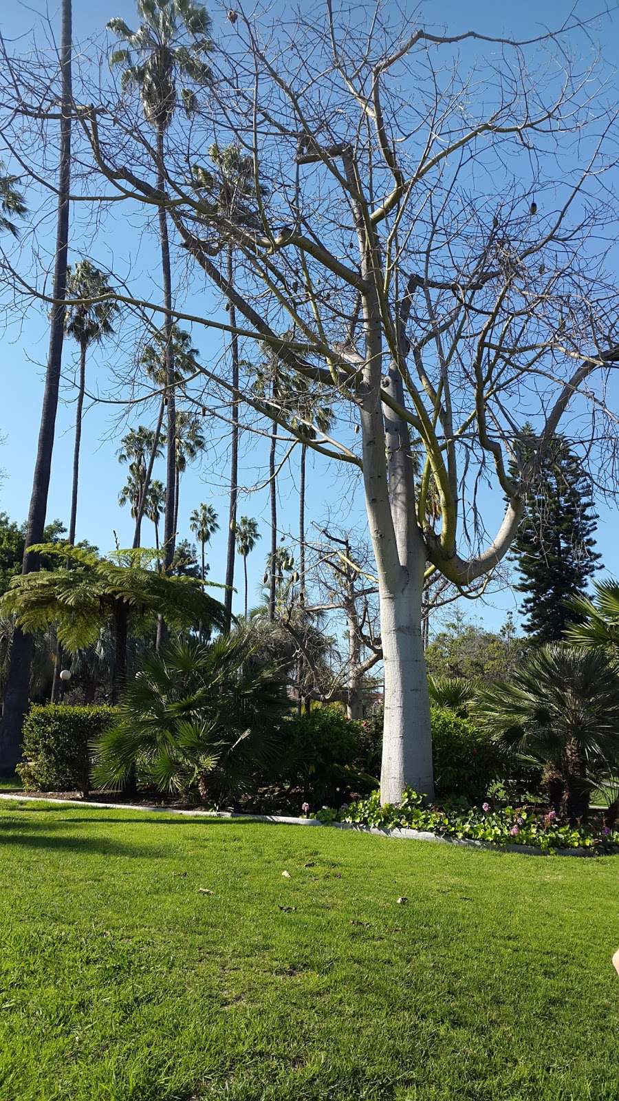 Will Rogers Memorial Park | Beverly Hills, CA 90210, USA | Phone: (213) 689-8424