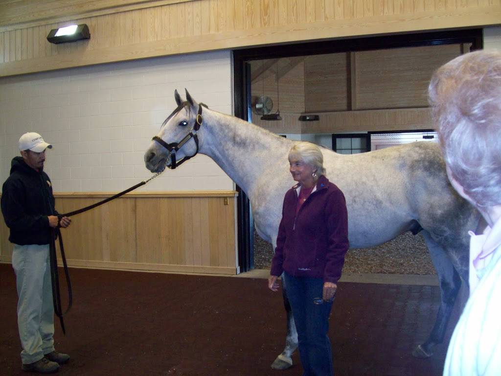 Horses of Kentucky | 333 Duke Rd, Lexington, KY 40502, USA | Phone: (859) 277-4625