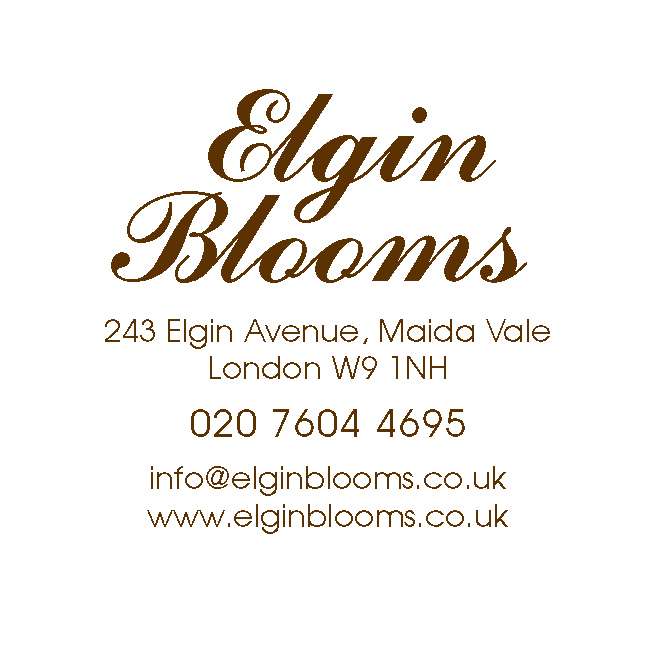 Elgin Blooms Maida Vale | 243 Elgin Ave, Maida Vale, London W9 1NH, UK | Phone: 020 7604 4695