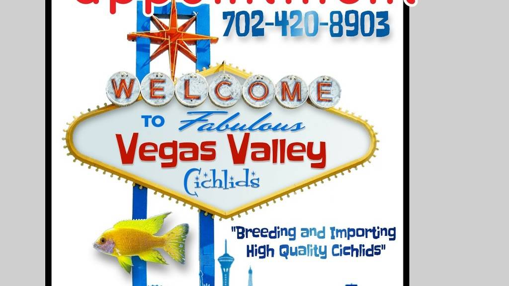 Vegas Valley Cichlids | 5381 Lindero Pl, Las Vegas, NV 89119, USA | Phone: (702) 420-8903