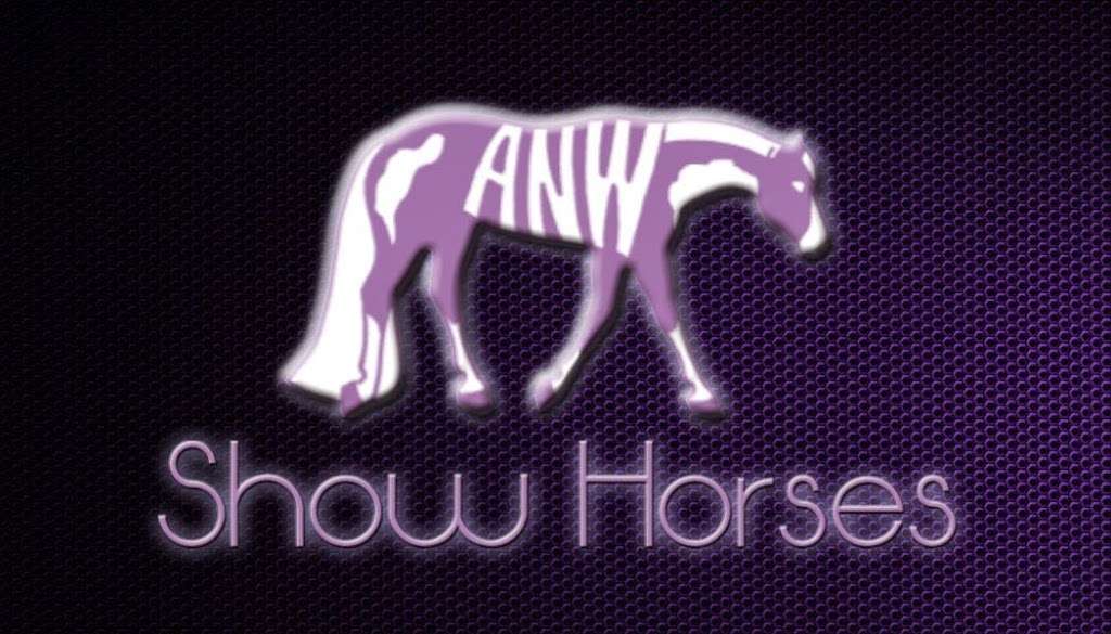 ANW Show Horses | 294 Clayton St, Las Vegas, NV 89110, USA