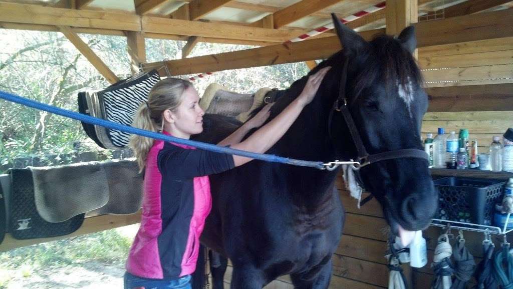 Flynns Equine Sport Massage & Saddle Fit, LLC | 30713 Saffron Ave, Eustis, FL 32736, USA | Phone: (352) 602-6956