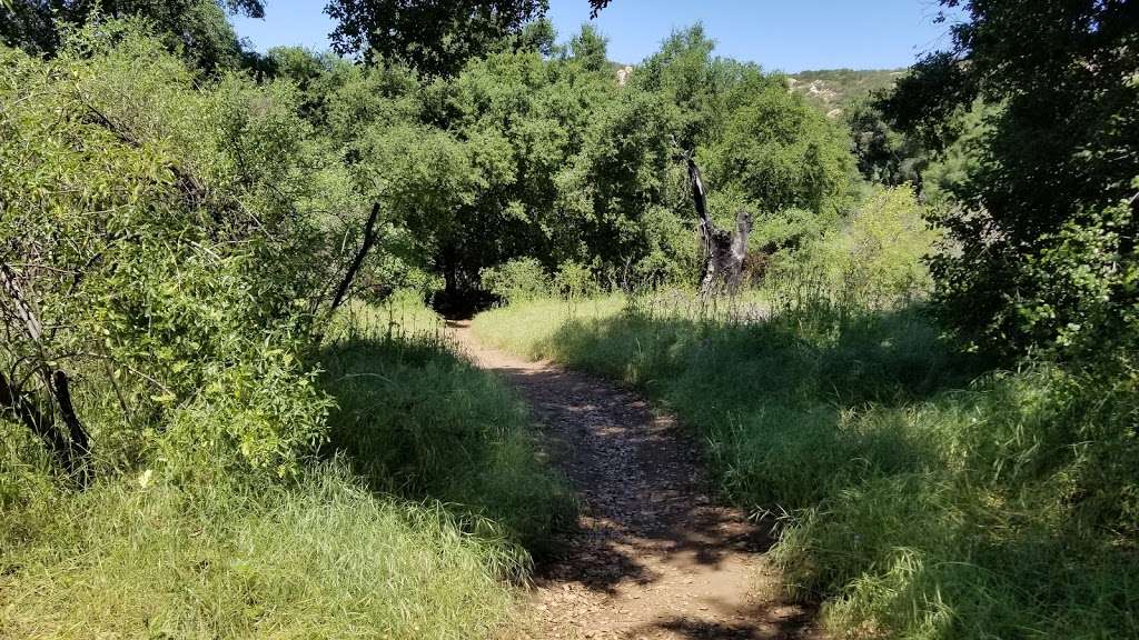 Oak Oasis County Preserve | Wildcat Canyon Rd, Lakeside, CA 92040, USA