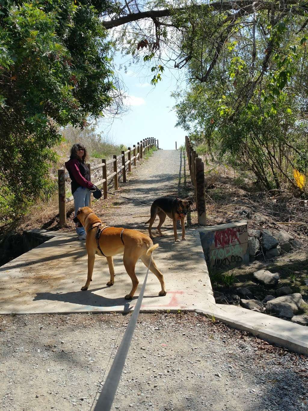 Otay Valley Regional Park Ranger Station | 2155 Beyer Blvd, San Diego, CA 92154 | Phone: (619) 424-0463